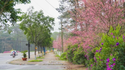 HUYỆN KON PLÔNG TỔ CHỨC TUẦN VĂN HÓA – DU LỊCH MĂNG ĐEN NĂM 2022