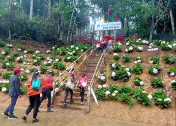 Phục Hồi Du Lịch