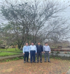 Măng Đen - tiềm năng cơ hội đầu tư - nâng tầm thương hiệu đẳng cấp quốc gia và tầm cỡ quốc tế
